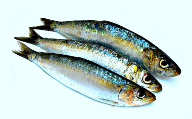 Fisch-enthält-Omega-3-Fettsäuren