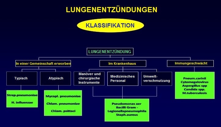 Klassifikation-Lungenentzündung-Gemeinschaft-Krankenhaus-immungeschwächt