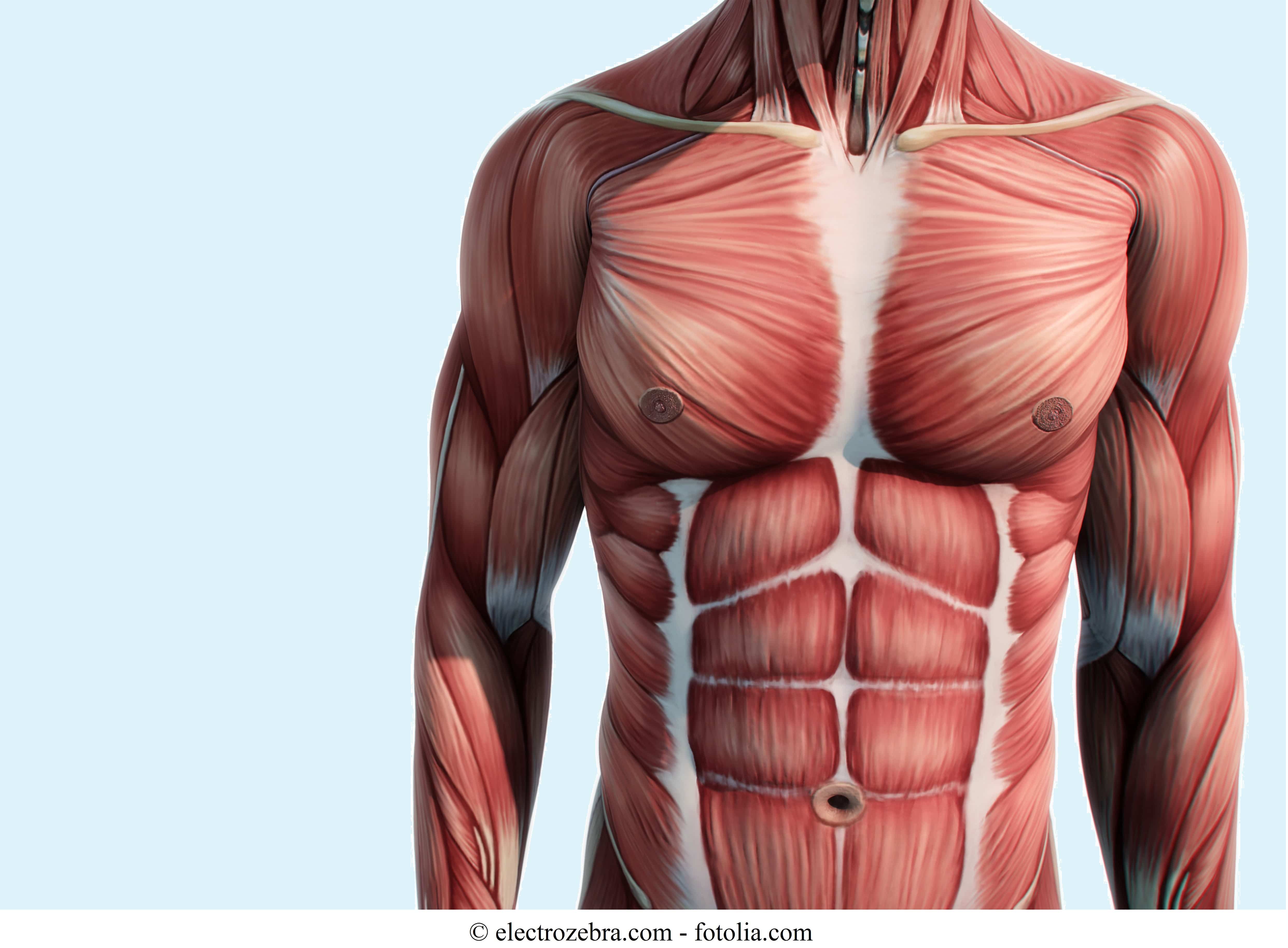 Einen muskelfaserriss erkennt man im oberschenkel wie Muskelfaserriss Oberschenkel