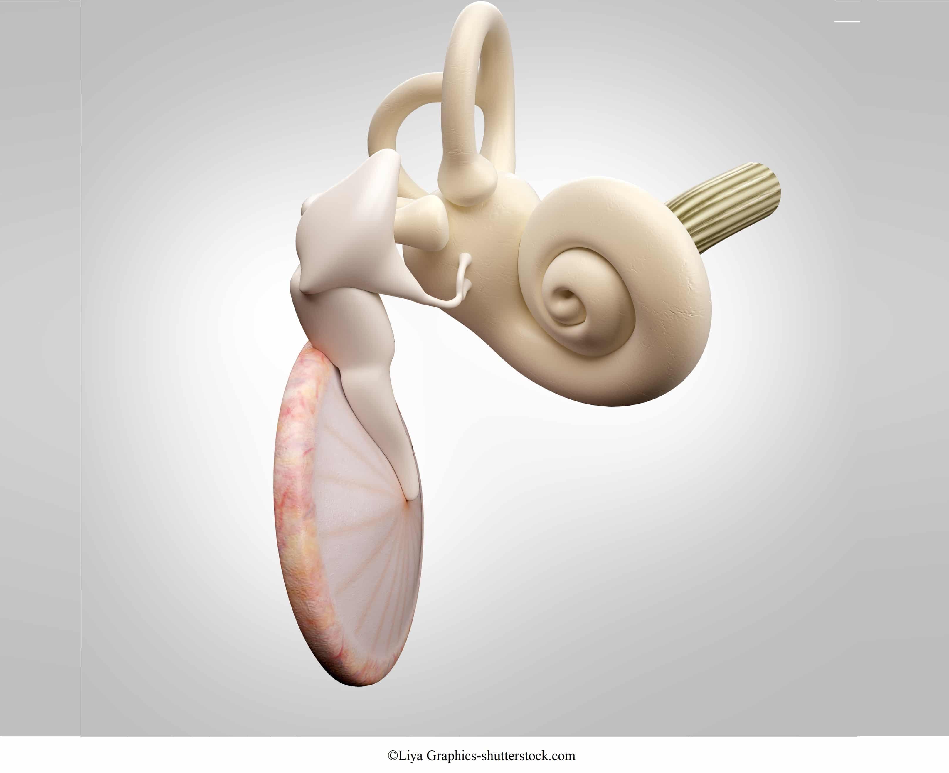 Tinnitus im Ohr: Ursachen und Arten
