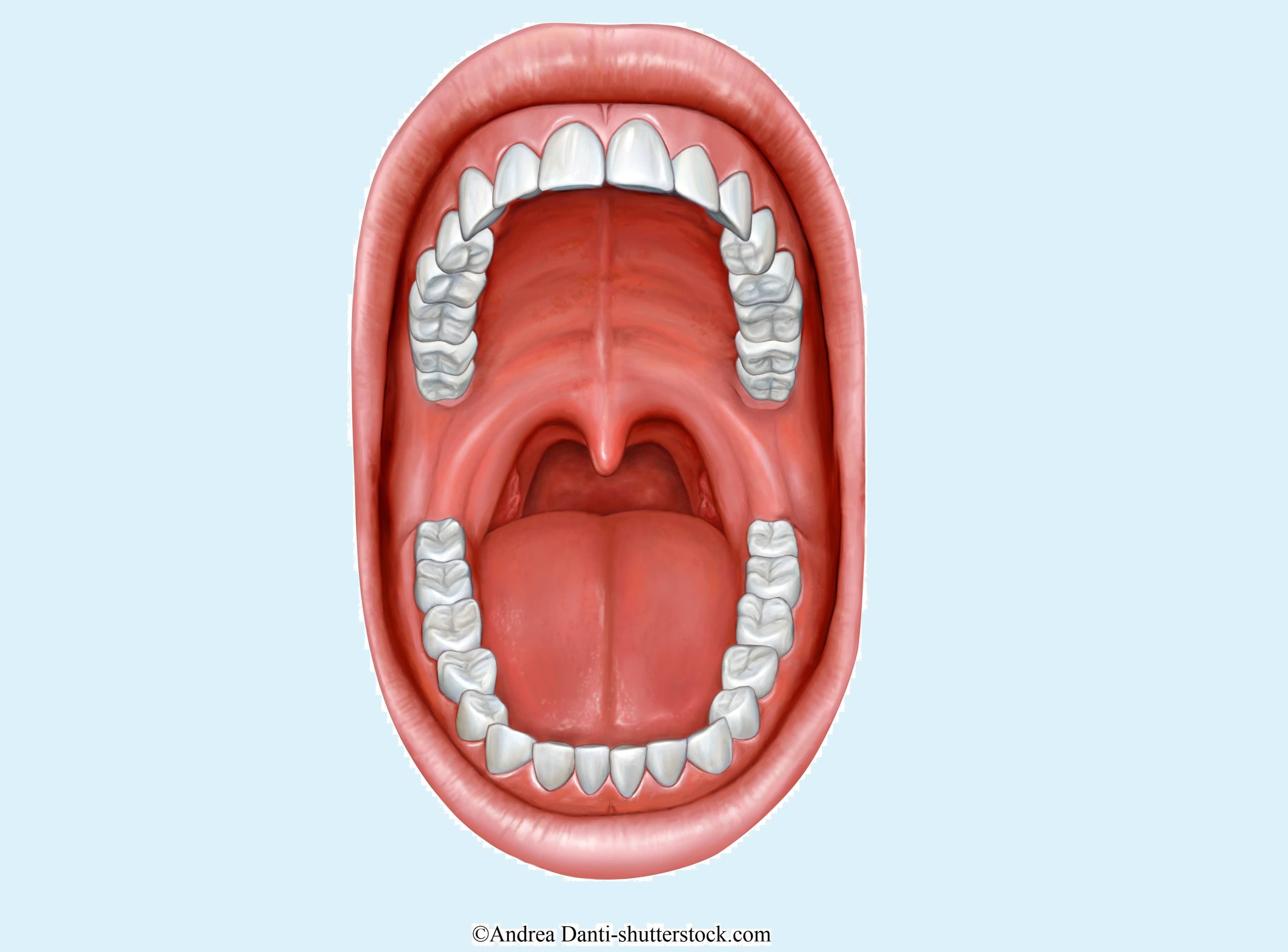 Bitterer Mundgeschmack: Ursachen, Symptome und Heilmittel